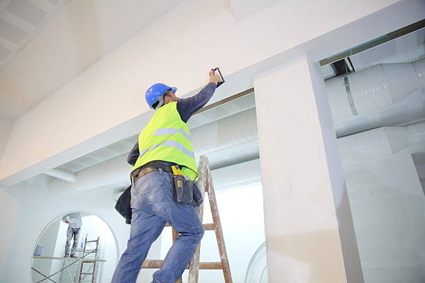 Best Fire-Damaged Drywall Repair  in Walhalla, SC